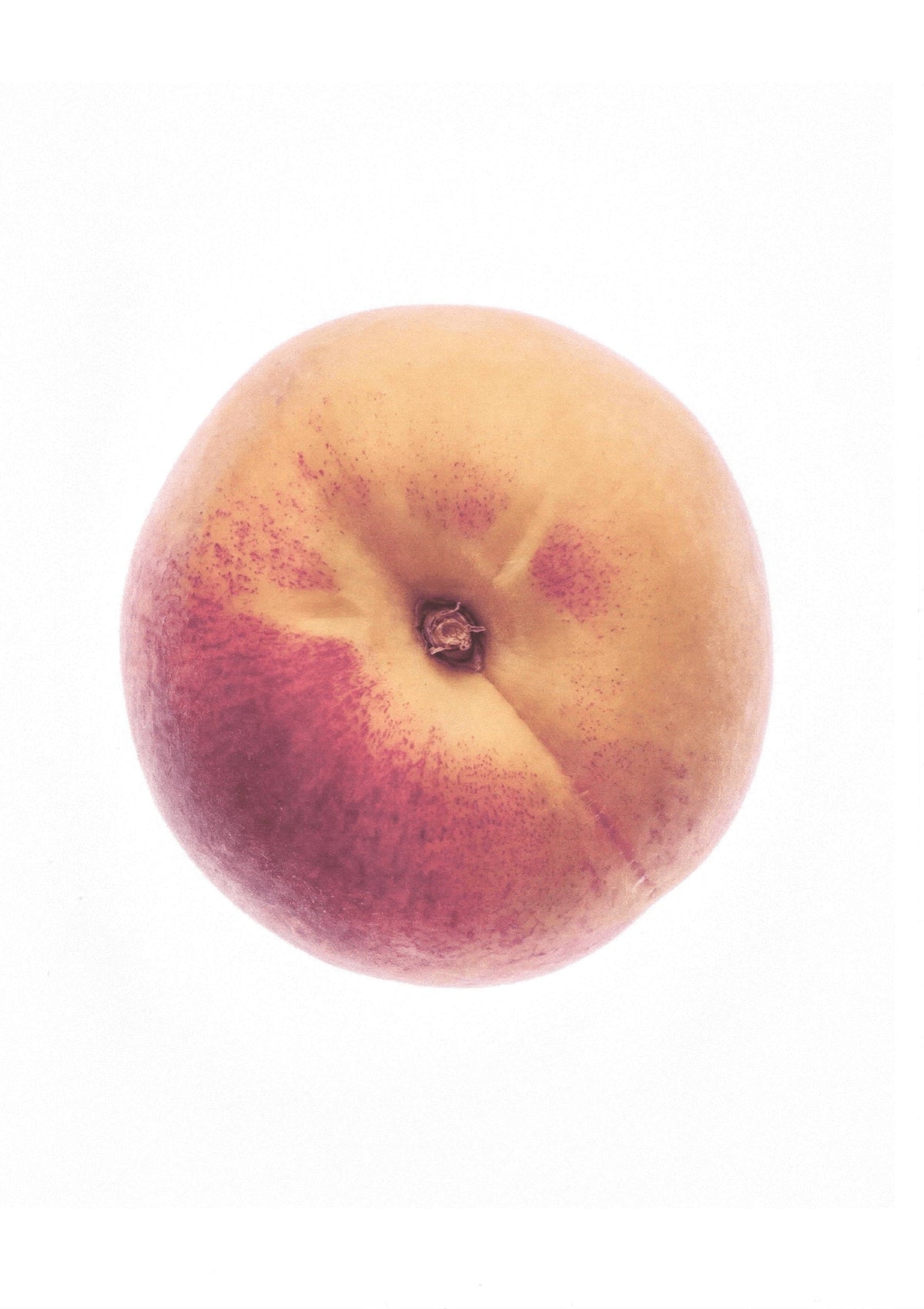 Yellow Peach — First Light
