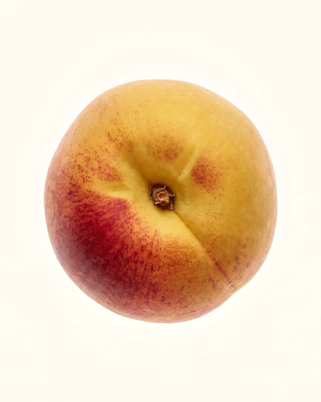 Yellow Peach — Gelber Pfirsich