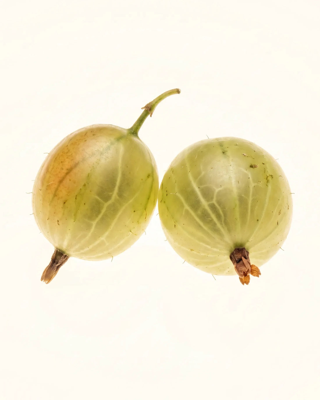 Gooseberry — Stachelbeere