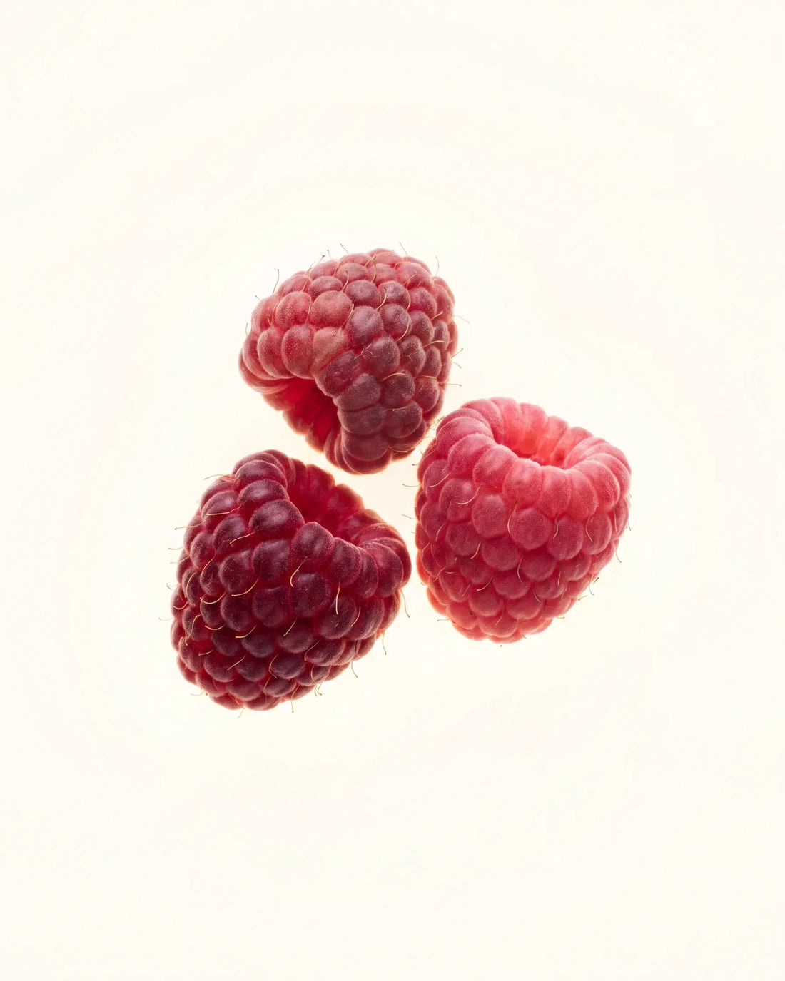Wild Raspberry — Waldhimbeere
